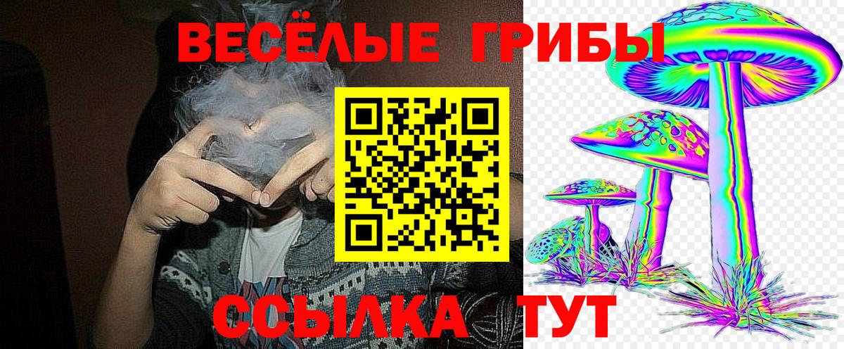 Галлюциногенные грибы Magic Shrooms  Псилоцибиновые грибы мухоморы  купить наркоту  Хасавюрт  Вход с VPN 