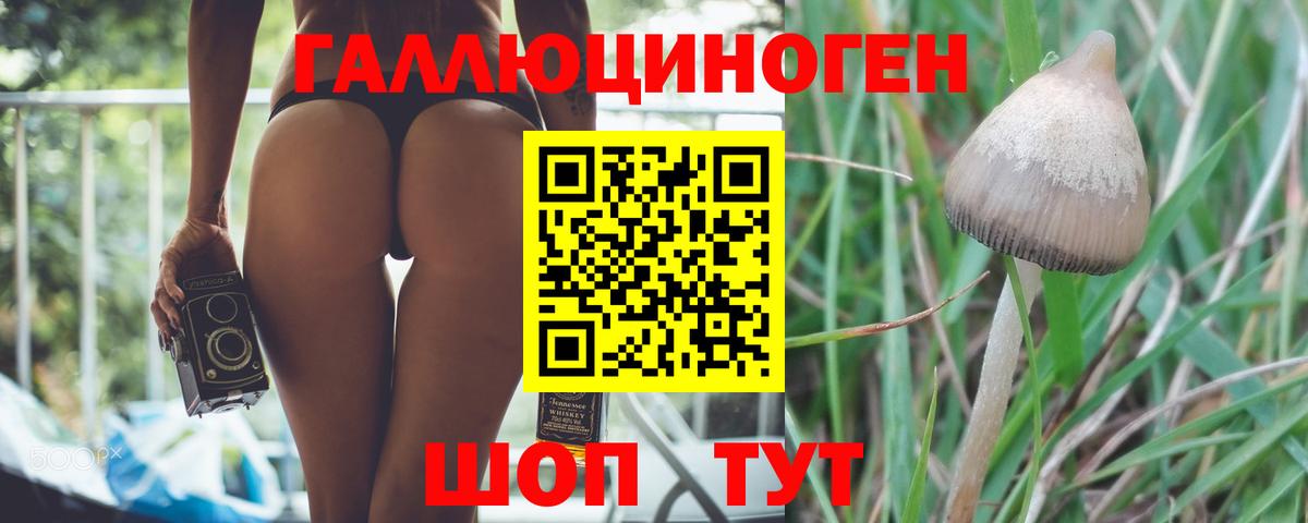 Галлюциногенные грибы ЛСД Хасавюрт